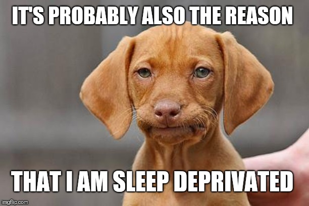 Dissapointed puppy | IT'S PROBABLY ALSO THE REASON THAT I AM SLEEP DEPRIVATED | image tagged in dissapointed puppy | made w/ Imgflip meme maker