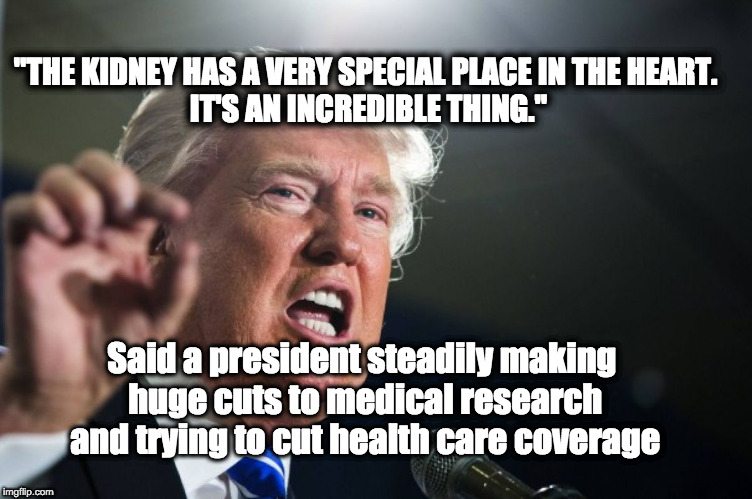 donald trump | "THE KIDNEY HAS A VERY SPECIAL PLACE IN THE HEART. 
IT'S AN INCREDIBLE THING."; Said a president steadily making  
huge cuts to medical research 
and trying to cut health care coverage | image tagged in donald trump | made w/ Imgflip meme maker