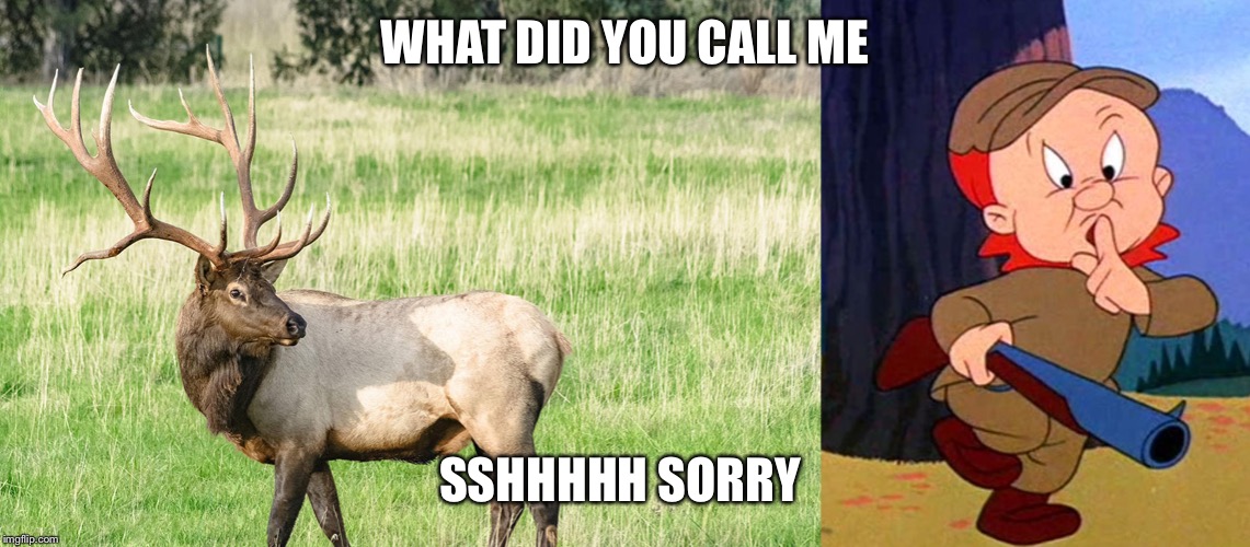 WHAT DID YOU CALL ME; SSHHHHH SORRY | image tagged in elmer quiet,bow hunting season | made w/ Imgflip meme maker