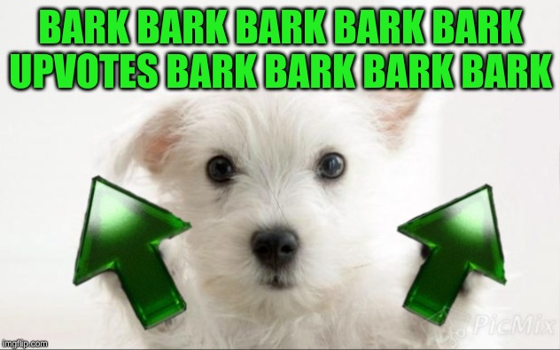 BARK BARK BARK BARK BARK UPVOTES BARK BARK BARK BARK | made w/ Imgflip meme maker