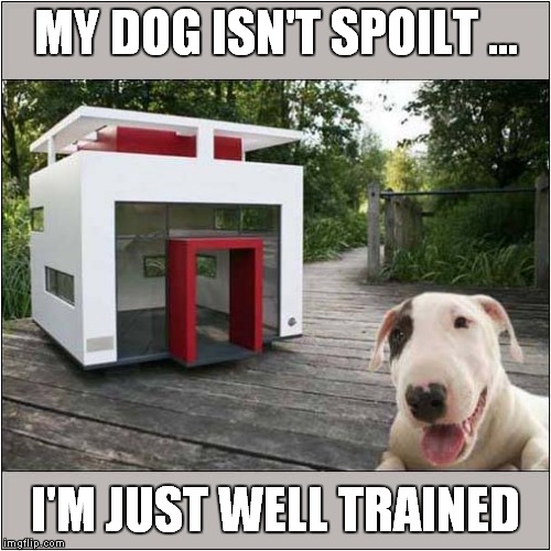 Not In The Dog House | MY DOG ISN'T SPOILT ... I'M JUST WELL TRAINED | image tagged in fun,dogs,luxury dog house | made w/ Imgflip meme maker