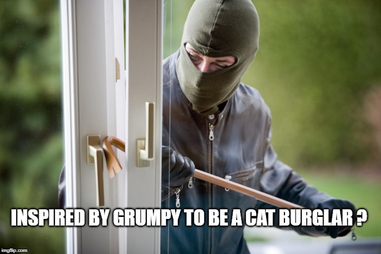 Burglar | INSPIRED BY GRUMPY TO BE A CAT BURGLAR ? | image tagged in burglar | made w/ Imgflip meme maker