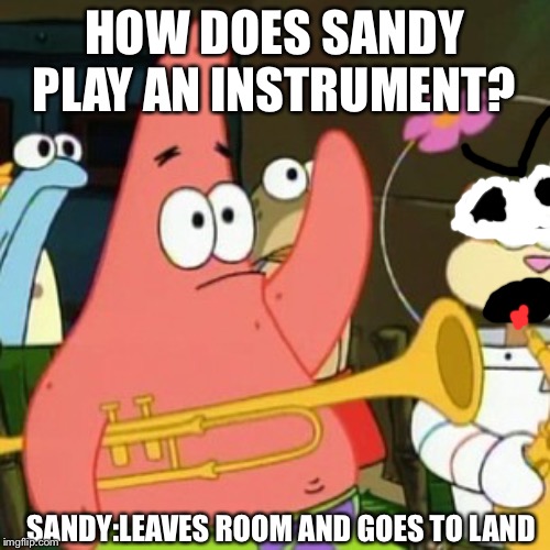 No Patrick | HOW DOES SANDY PLAY AN INSTRUMENT? SANDY:LEAVES ROOM AND GOES TO LAND | image tagged in memes,no patrick | made w/ Imgflip meme maker