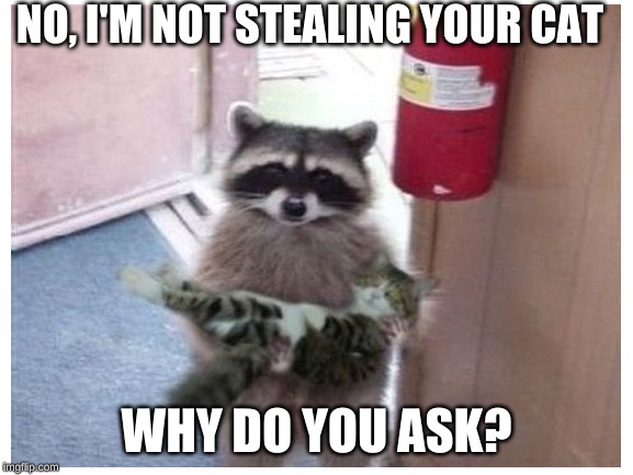 NO, I'M NOT STEALING YOUR CAT WHY DO YOU ASK? | made w/ Imgflip meme maker