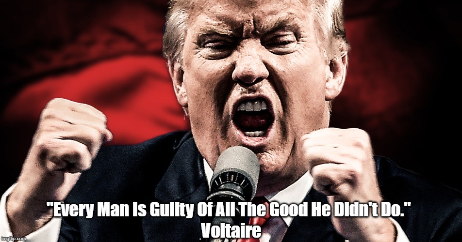 "Every Man Is Guilty Of All The Good He Didn't Do." Voltaire | made w/ Imgflip meme maker