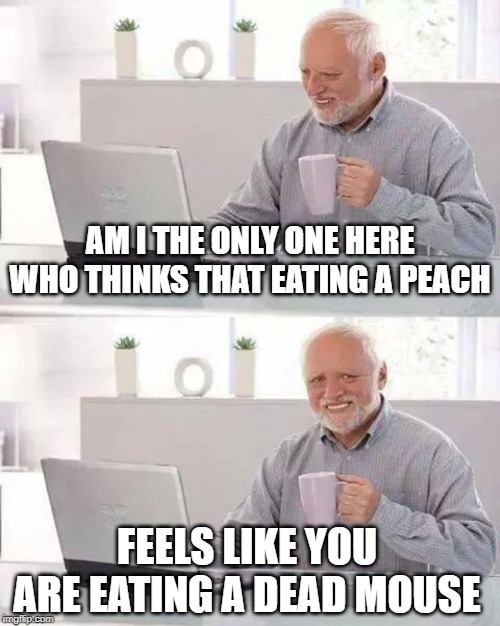 All the fuzz on the outside... Yuck | AM I THE ONLY ONE HERE WHO THINKS THAT EATING A PEACH; FEELS LIKE YOU ARE EATING A DEAD MOUSE | image tagged in memes,hide the pain harold,funny,facts,mouse,eating healthy | made w/ Imgflip meme maker