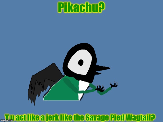 Pikachu? Y u act like a jerk like the Savage Pied Wagtail? | image tagged in y u no pied wagtail | made w/ Imgflip meme maker