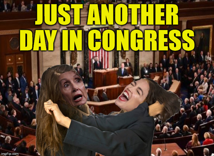 Let the Fur Fly | JUST ANOTHER DAY IN CONGRESS | image tagged in nancy pelosi,alexandria ocasio-cortez,memes,cat fight,bad hair day,congress | made w/ Imgflip meme maker
