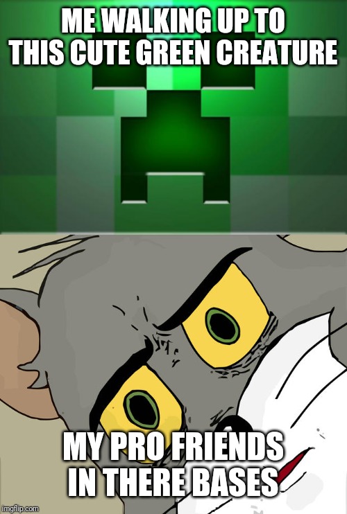 Creeper Memes Minecraft