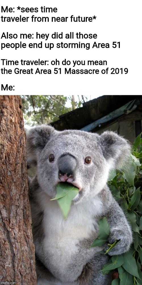 Please don't do this people | Me: *sees time traveler from near future*; Also me: hey did all those people end up storming Area 51; Me:; Time traveler: oh do you mean the Great Area 51 Massacre of 2019 | image tagged in memes,surprised koala,area 51 | made w/ Imgflip meme maker