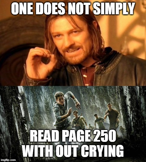 ONE DOES NOT SIMPLY; READ PAGE 250 WITH OUT CRYING | image tagged in memes,one does not simply,maze runner | made w/ Imgflip meme maker