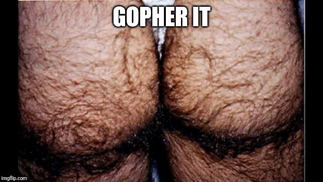 hairy ass | GOPHER IT | image tagged in hairy ass | made w/ Imgflip meme maker