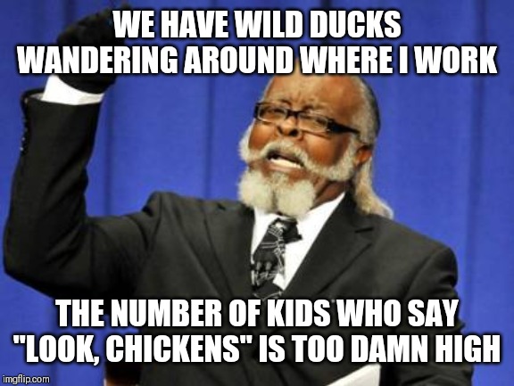 Too Damn High | WE HAVE WILD DUCKS WANDERING AROUND WHERE I WORK; THE NUMBER OF KIDS WHO SAY "LOOK, CHICKENS" IS TOO DAMN HIGH | image tagged in memes,too damn high | made w/ Imgflip meme maker