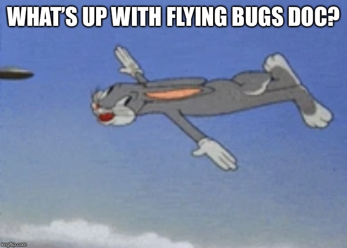 WHAT’S UP WITH FLYING BUGS DOC? | made w/ Imgflip meme maker