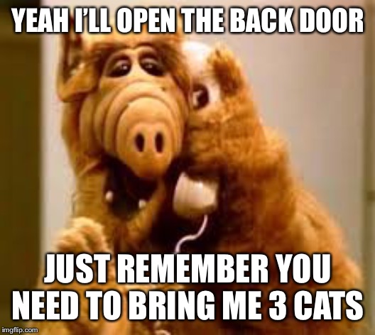 This is how we’ll get inside | YEAH I’LL OPEN THE BACK DOOR; JUST REMEMBER YOU NEED TO BRING ME 3 CATS | image tagged in alf,area 51 | made w/ Imgflip meme maker