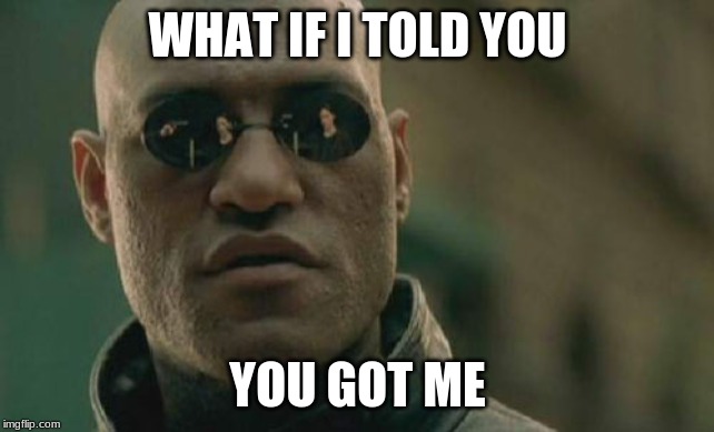 WHAT IF I TOLD YOU YOU GOT ME | image tagged in memes,matrix morpheus | made w/ Imgflip meme maker
