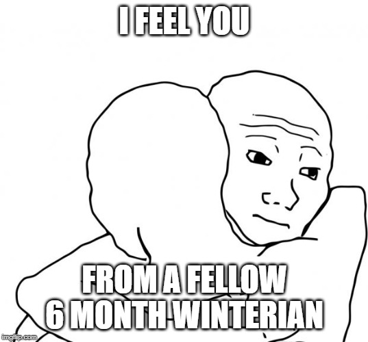 I Know That Feel Bro Meme | I FEEL YOU FROM A FELLOW 6 MONTH WINTERIAN | image tagged in memes,i know that feel bro | made w/ Imgflip meme maker