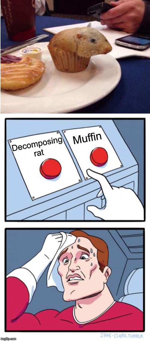 I smell a rat here. | Muffin; Decomposing rat | image tagged in memes,two buttons,muffin,or is it,dead rat,confused dafuq jack sparrow what | made w/ Imgflip meme maker
