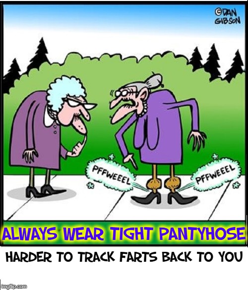 Flatulence Defense Schemes for the Elderly | ALWAYS WEAR TIGHT PANTYHOSE; HARDER TO TRACK FARTS BACK TO YOU | image tagged in vince vance,don gibson,old ladies,pantyhose,farting,saggy titties | made w/ Imgflip meme maker