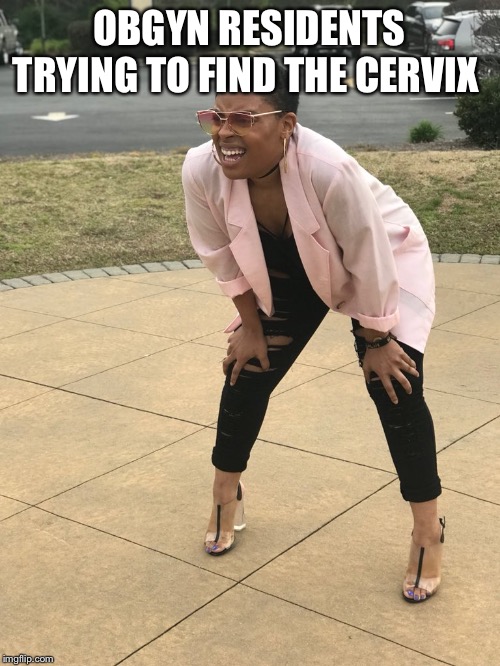 Squatting Lady | OBGYN RESIDENTS TRYING TO FIND THE CERVIX | image tagged in squatting lady | made w/ Imgflip meme maker