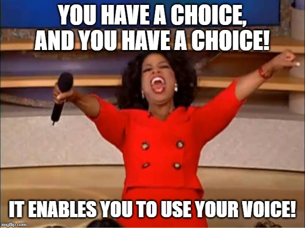 Oprah You Get A Meme | YOU HAVE A CHOICE, AND YOU HAVE A CHOICE! IT ENABLES YOU TO USE YOUR VOICE! | image tagged in memes,oprah you get a | made w/ Imgflip meme maker