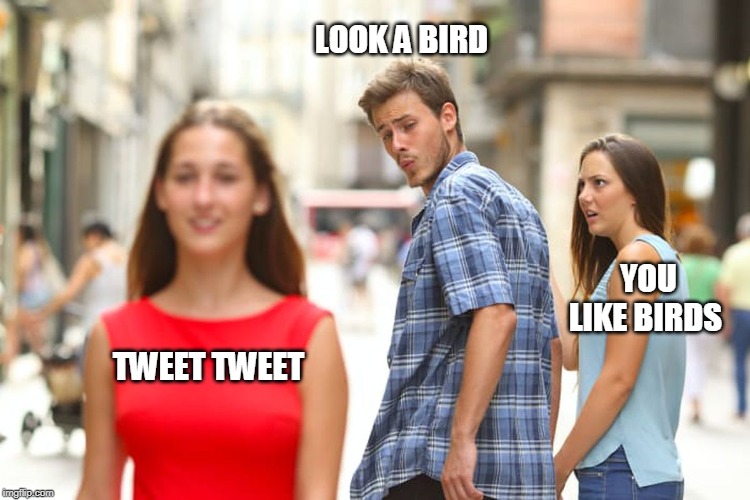 Distracted Boyfriend | LOOK A BIRD; YOU LIKE BIRDS; TWEET TWEET | image tagged in memes,distracted boyfriend | made w/ Imgflip meme maker