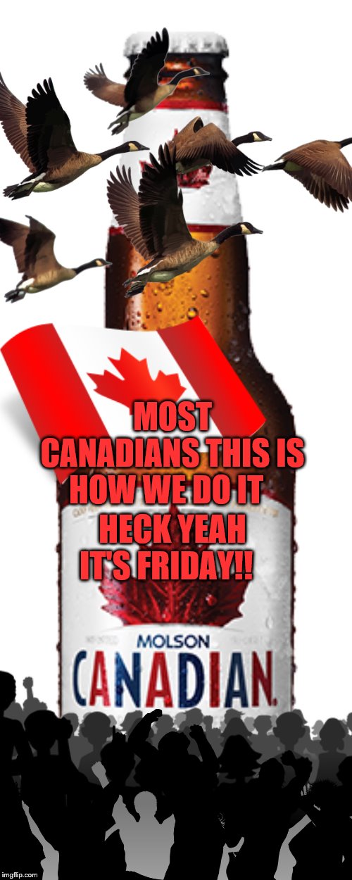 its friday | HECK YEAH IT'S FRIDAY!! MOST CANADIANS THIS IS HOW WE DO IT | image tagged in canadian beer,meanwhile in canada,memes,yay it's friday,canada | made w/ Imgflip meme maker