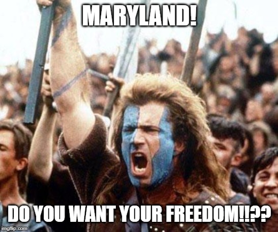braveheart freedom | MARYLAND! DO YOU WANT YOUR FREEDOM!!?? | image tagged in braveheart freedom | made w/ Imgflip meme maker