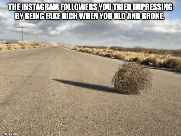 THE INSTAGRAM FOLLOWERS YOU TRIED IMPRESSING BY BEING FAKE RICH WHEN YOU OLD AND BROKE. | image tagged in instagram,finance,rich | made w/ Imgflip meme maker