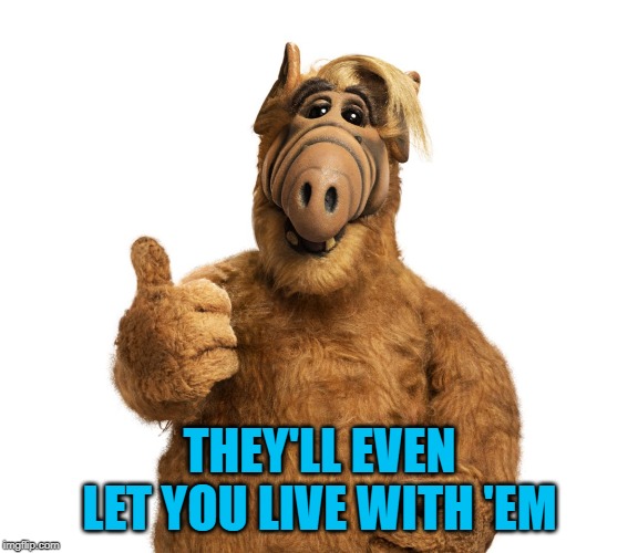 THEY'LL EVEN LET YOU LIVE WITH 'EM | made w/ Imgflip meme maker