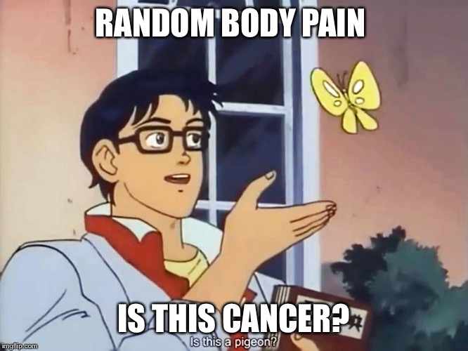 ANIME BUTTERFLY MEME | RANDOM BODY PAIN; IS THIS CANCER? | image tagged in anime butterfly meme | made w/ Imgflip meme maker