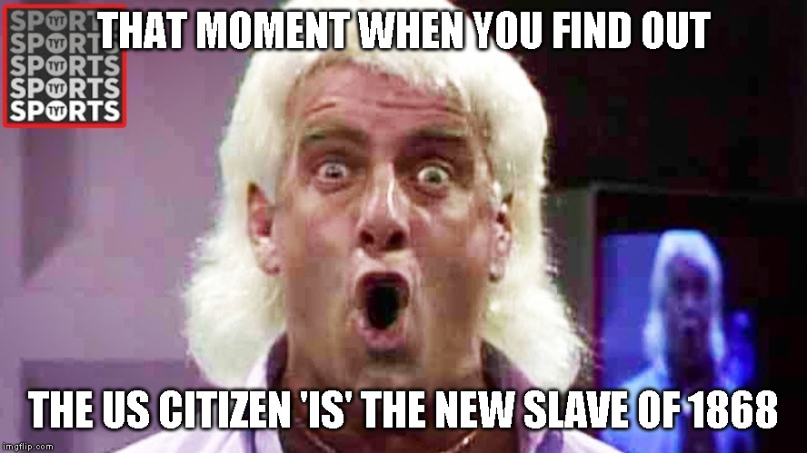 Slaves I See Slaves | THAT MOMENT WHEN YOU FIND OUT; THE US CITIZEN 'IS' THE NEW SLAVE OF 1868 | image tagged in slavery | made w/ Imgflip meme maker