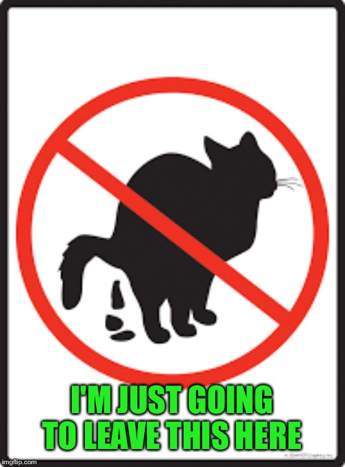 Cats.....cats everywhere pooping | I'M JUST GOING TO LEAVE THIS HERE | image tagged in cats,captain poopypants | made w/ Imgflip meme maker