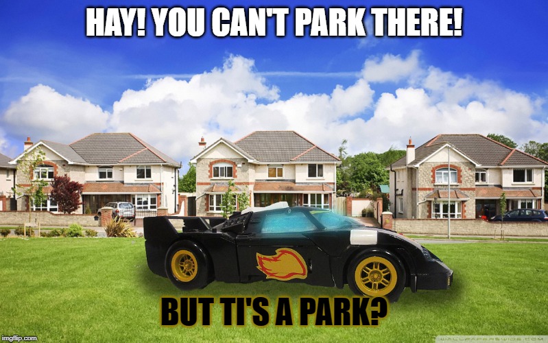 HAY! YOU CAN'T PARK THERE! BUT TI'S A PARK? | made w/ Imgflip meme maker