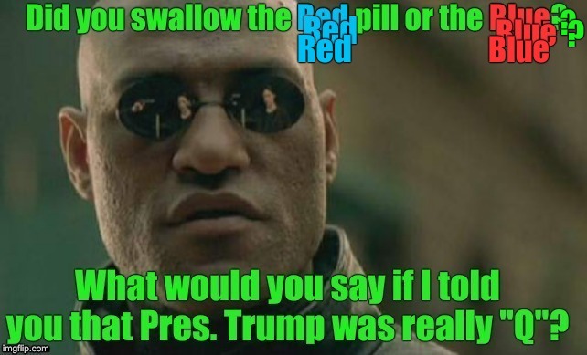 Jackass's and Rinos, it's a Jungle out there! | ? ? | image tagged in matrix morpheus,memes,president trump,qanon,politics | made w/ Imgflip meme maker