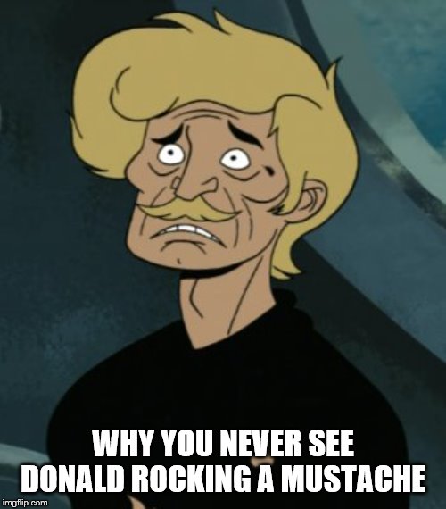 WHY YOU NEVER SEE DONALD ROCKING A MUSTACHE | made w/ Imgflip meme maker