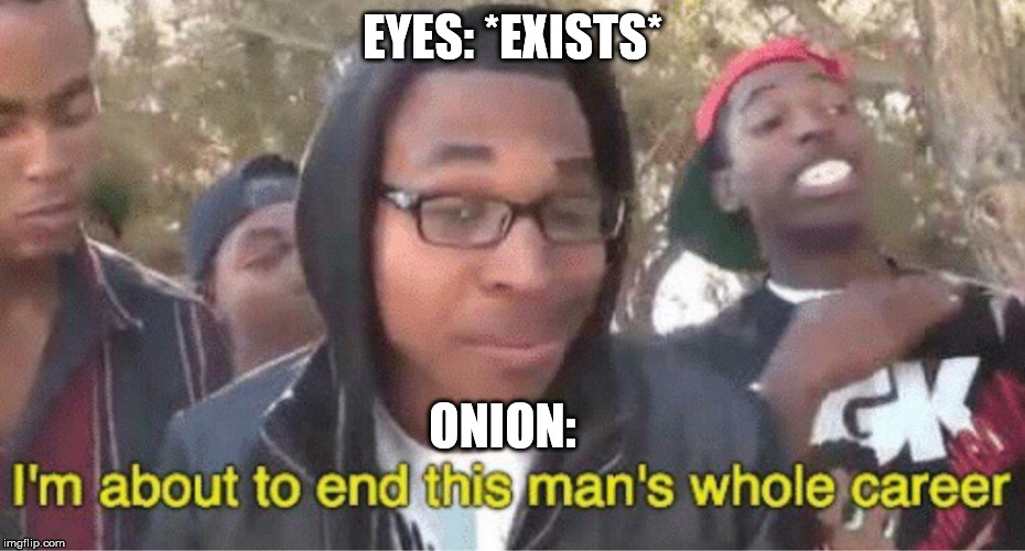 Im about to end this mans whole career meme | EYES: *EXISTS*; ONION: | image tagged in im about to end this mans whole career meme | made w/ Imgflip meme maker