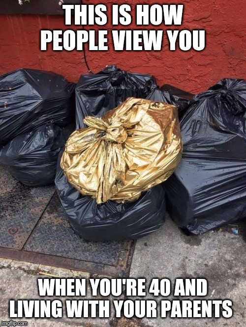 Golden Trash Bag | THIS IS HOW PEOPLE VIEW YOU; WHEN YOU'RE 40 AND LIVING WITH YOUR PARENTS | image tagged in golden trash bag | made w/ Imgflip meme maker