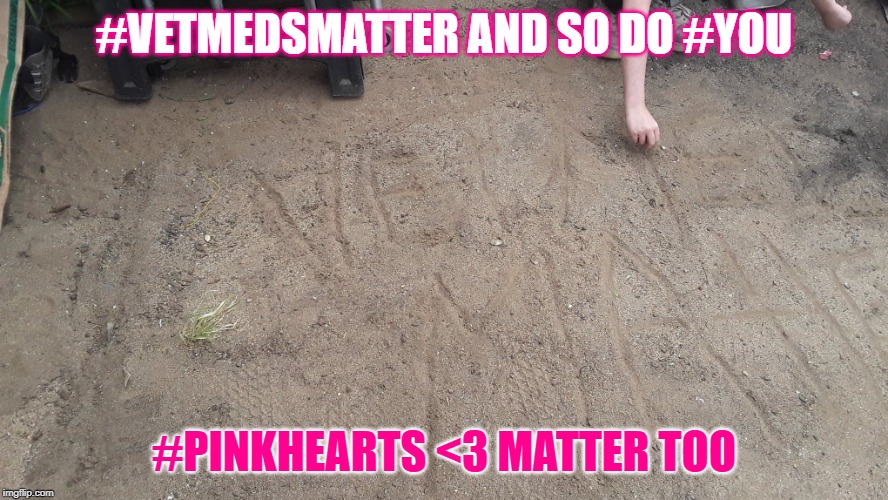 Vet Meds Matter And So Do You | #VETMEDSMATTER AND SO DO #YOU; #PINKHEARTS <3 MATTER TOO | image tagged in vet meds matter and so do you | made w/ Imgflip meme maker