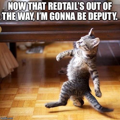 Tigerclaw after killing Redtail | NOW THAT REDTAIL’S OUT OF THE WAY, I’M GONNA BE DEPUTY. | image tagged in swagger cat,warrior cats,tigerclaw,cat,redtail | made w/ Imgflip meme maker