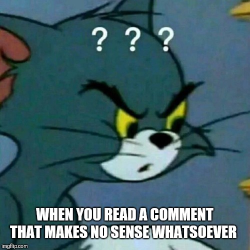 Mildly confused Tom | WHEN YOU READ A COMMENT THAT MAKES NO SENSE WHATSOEVER | image tagged in not sure if me or just doesn't make sense,english you speak it,mildly confused tom | made w/ Imgflip meme maker