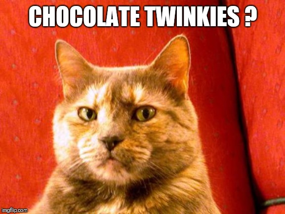 Suspicious Cat Meme | CHOCOLATE TWINKIES ? | image tagged in memes,suspicious cat | made w/ Imgflip meme maker