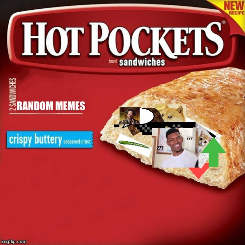 hot pockets box | RANDOM MEMES | image tagged in hot pockets box | made w/ Imgflip meme maker