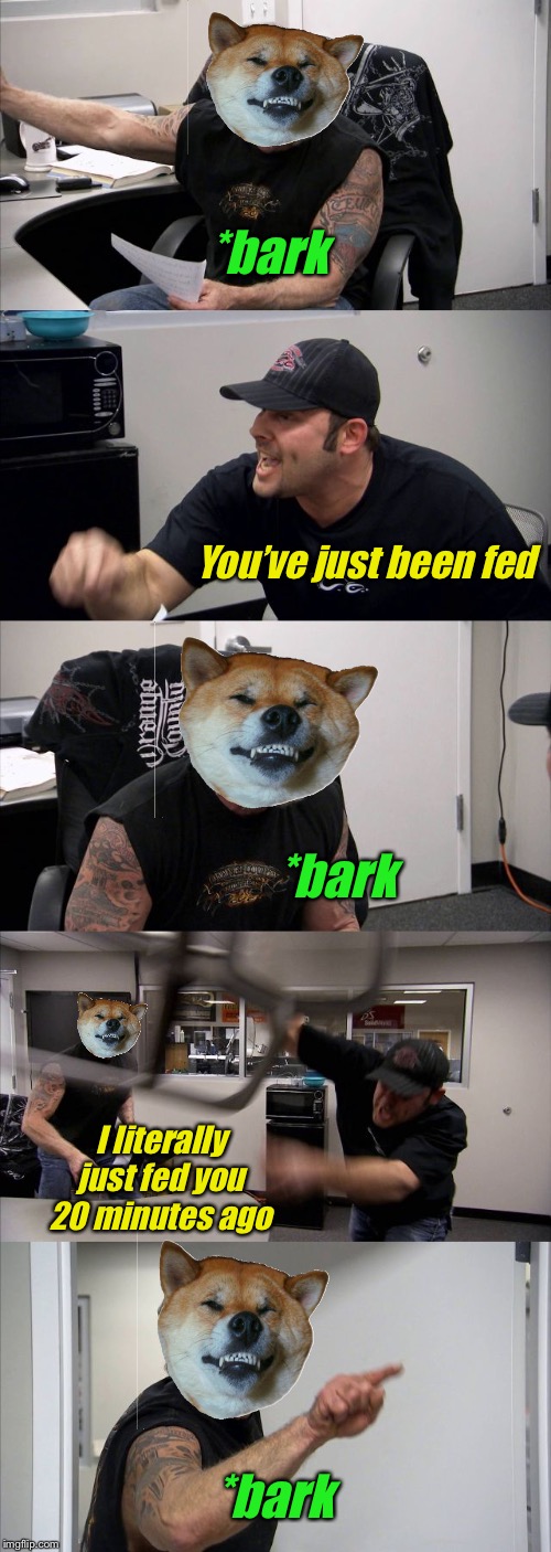 American Chopper Argument | *bark; You’ve just been fed; *bark; I literally just fed you 20 minutes ago; *bark | image tagged in memes,american chopper argument,doggo | made w/ Imgflip meme maker