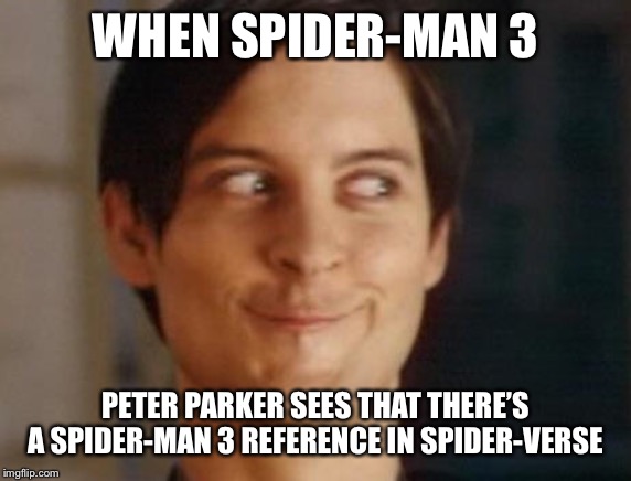 Spiderman Peter Parker Meme | WHEN SPIDER-MAN 3; PETER PARKER SEES THAT THERE’S A SPIDER-MAN 3 REFERENCE IN SPIDER-VERSE | image tagged in memes,spiderman peter parker | made w/ Imgflip meme maker