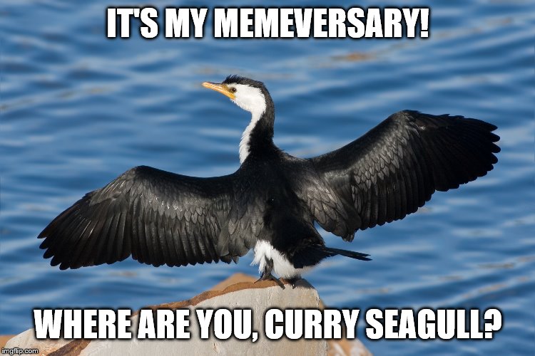 Duckguin | IT'S MY MEMEVERSARY! WHERE ARE YOU, CURRY SEAGULL? | image tagged in duckguin | made w/ Imgflip meme maker