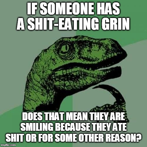 Philosoraptor Meme | IF SOMEONE HAS A SHIT-EATING GRIN; DOES THAT MEAN THEY ARE SMILING BECAUSE THEY ATE SHIT OR FOR SOME OTHER REASON? | image tagged in memes,philosoraptor | made w/ Imgflip meme maker