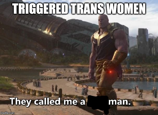 Thanos they called me a madman | TRIGGERED TRANS WOMEN | image tagged in thanos they called me a madman | made w/ Imgflip meme maker