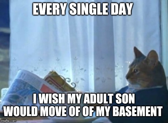I Should Buy A Boat Cat | EVERY SINGLE DAY; I WISH MY ADULT SON WOULD MOVE OF OF MY BASEMENT | image tagged in memes,i should buy a boat cat | made w/ Imgflip meme maker
