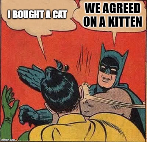 Batman Slapping Robin Meme | I BOUGHT A CAT; WE AGREED ON A KITTEN | image tagged in memes,batman slapping robin | made w/ Imgflip meme maker